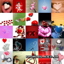 ���� 240x320 [Love, ������ 6]