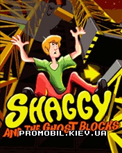 ���� ��� �������� Shaggy and the Ghost Blocks